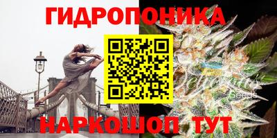 круглые Заводоуковск