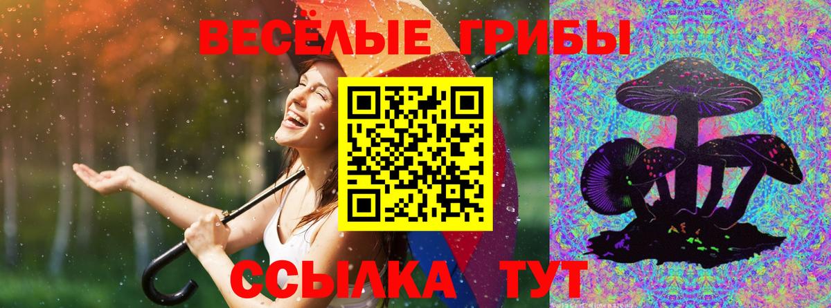 Железногорск  Галлюциногенные грибы GOLDEN TEACHER  Вход с VPN 